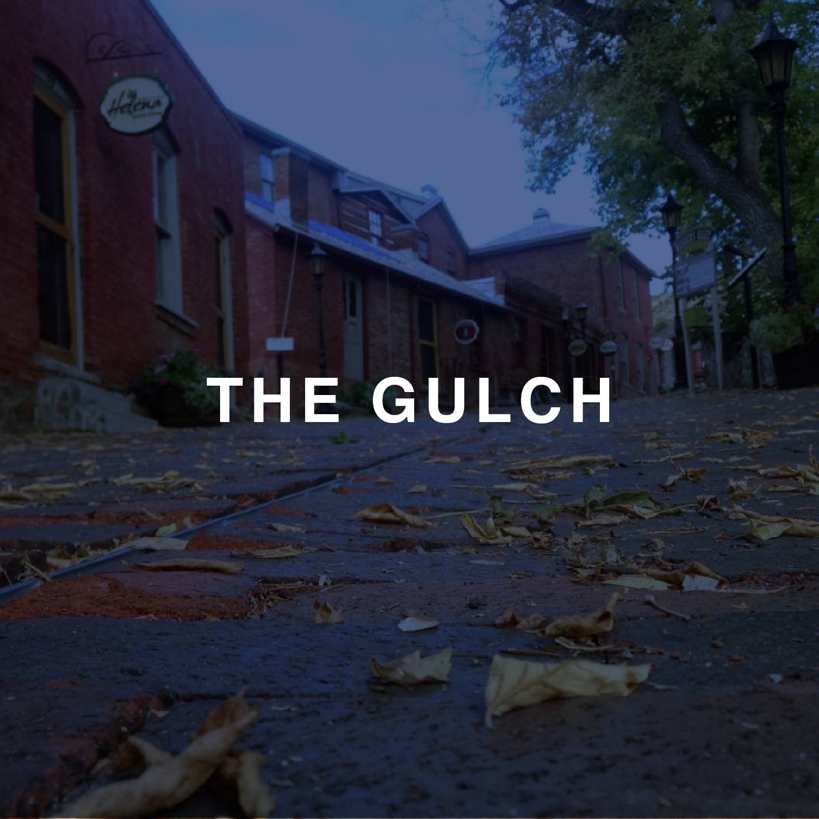 The gulch