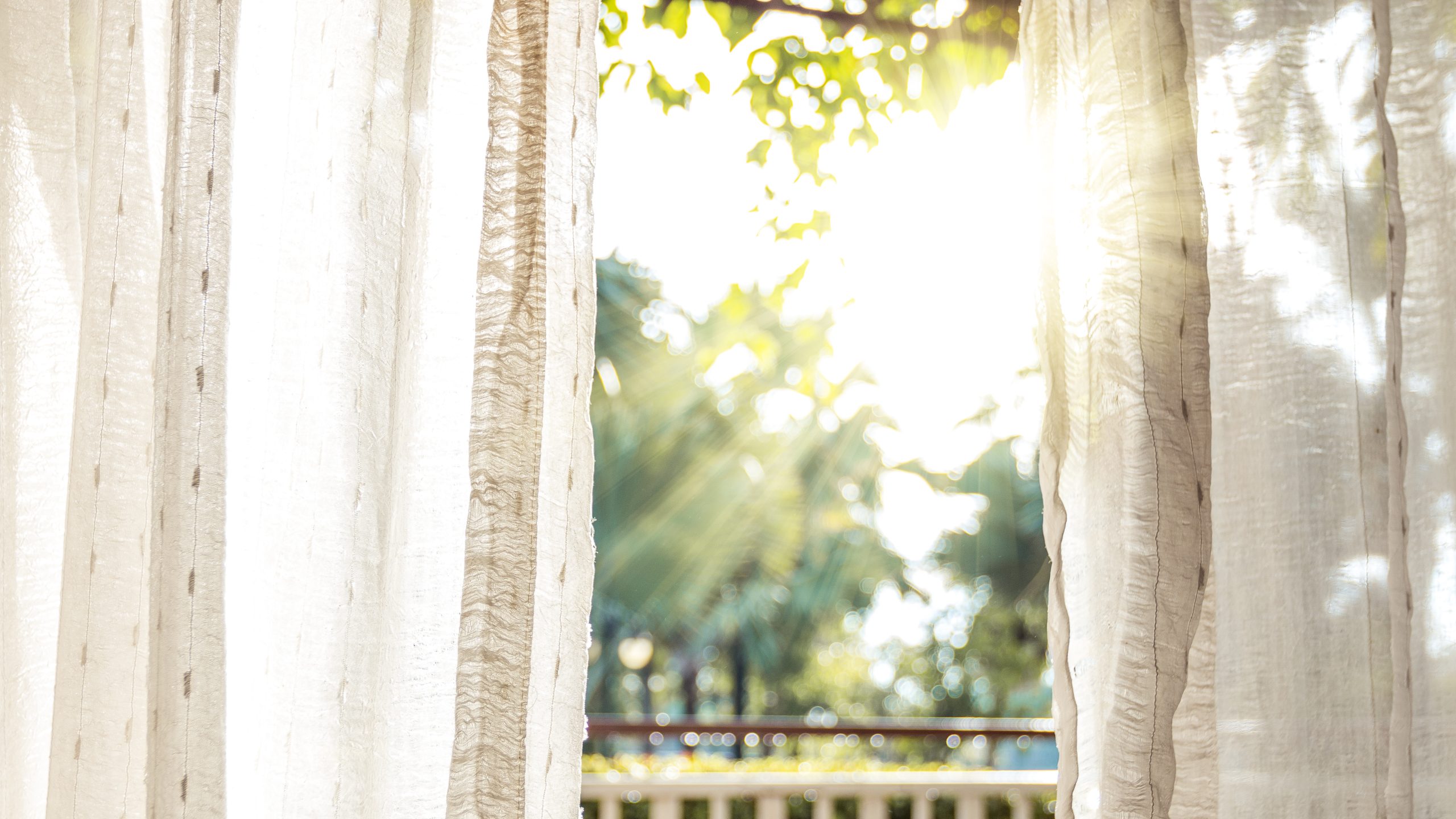 window treatments