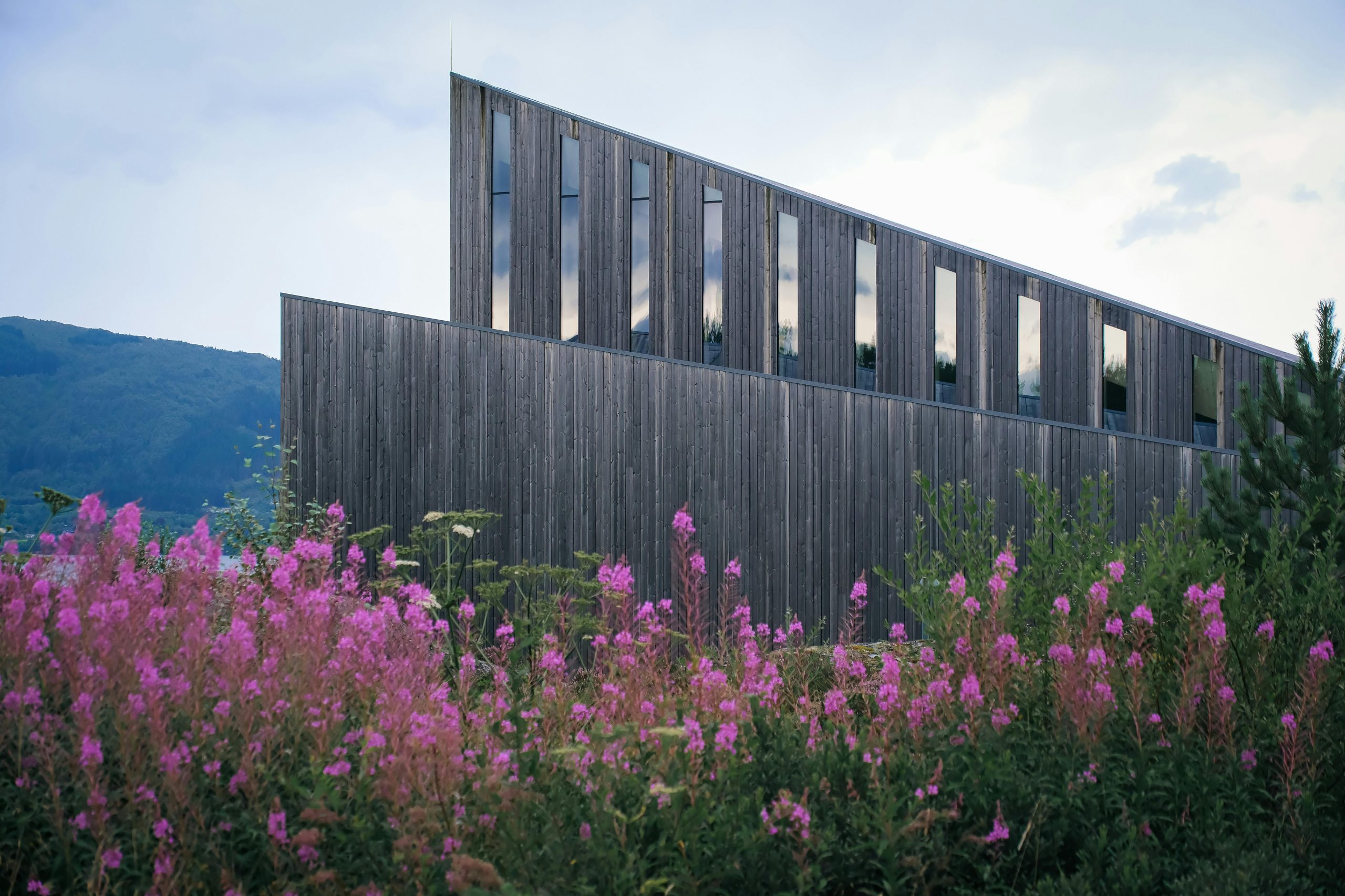 Sustainable Home Features
